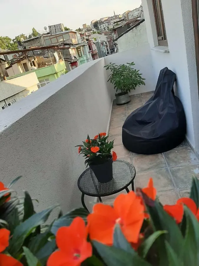 Zeytin Agaci Hotel Стамбул Отель типа 