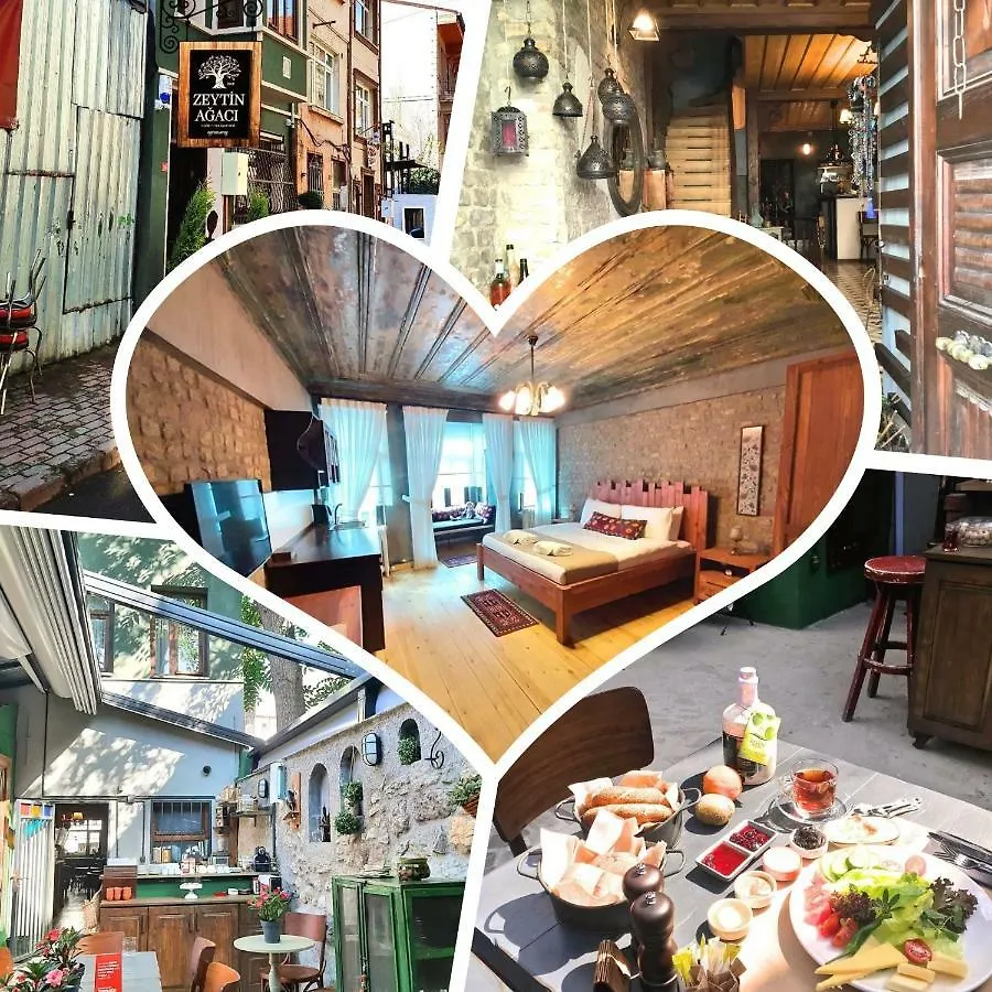 Zeytin Agaci Hotel Стамбул