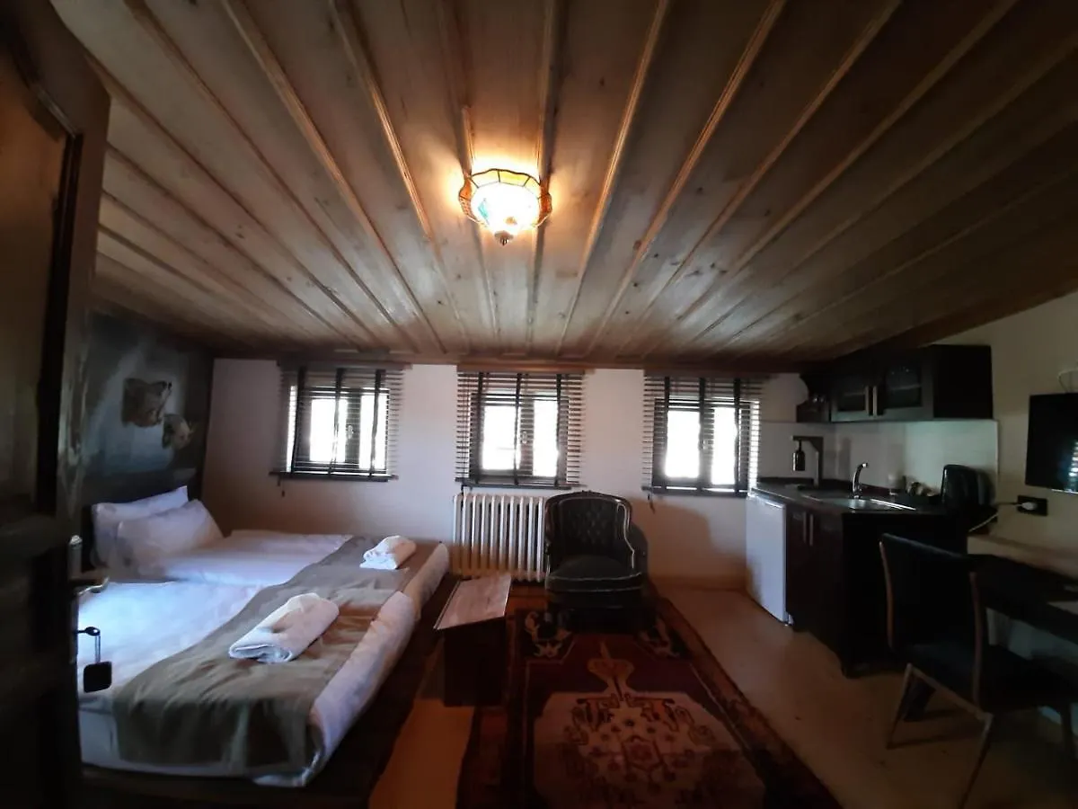 Zeytin Agaci Hotel Стамбул 3*,  Турция